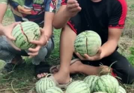 网红吃瓜户外,揭秘娱乐圈幕后真相