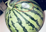 南京网红吃瓜,揭秘网络热点的背后真相