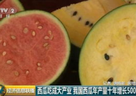 中国网吃瓜,揭秘网络“吃瓜”文化背后的现象与影响